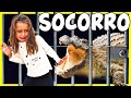 **SOCORRO** Un COCODRILO GIGANTE ATRAPA Y SECUESTRA a MARIELA 😱 El cocodrilo de Mariela Capitulo 3