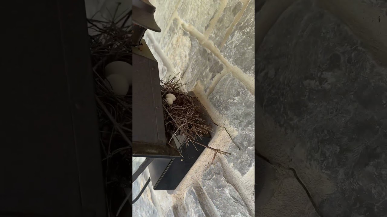 Just a quick true crime break with mother nature. 