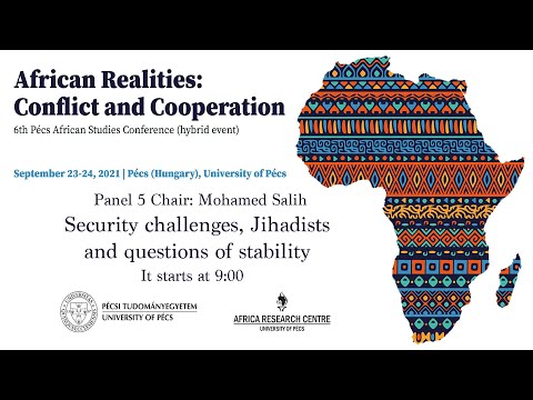 Security challenges, Jihadists and questions of stability