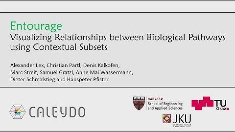 Entourage: Visualizing Relationships between Biological Pathways using Contextual Subsets