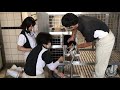 ジャイアントパンダ「彩浜（さいひん）」トレーニングでの採血に成功！