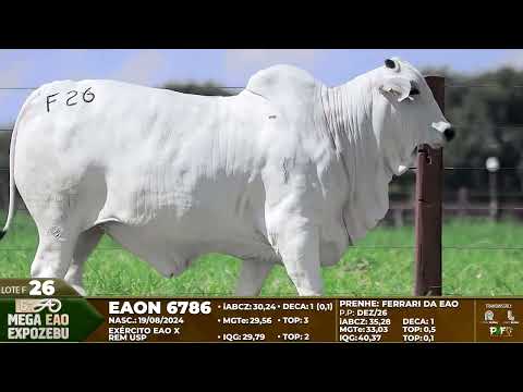 LOTE F26