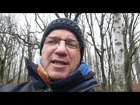 Winterfeeder 2