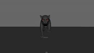 Front View _ Run cycle