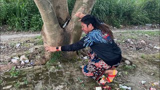 GILA❗️PENARIKAN PUSAKA DANAU GAIB