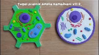 praktik membuat model sel hewan dan tumbuhan