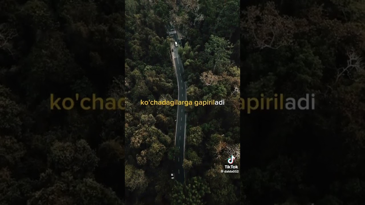 1 октября 2025 г.