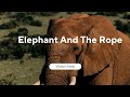 Elephant and the rope story