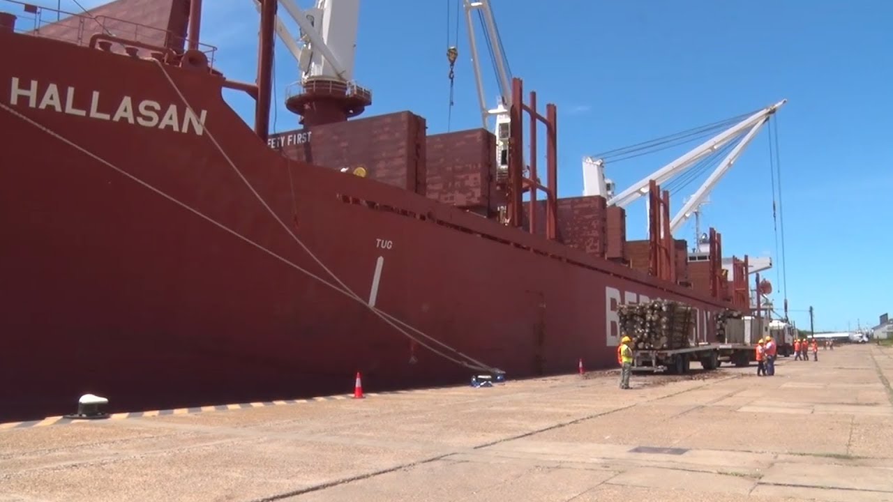 Entre Ríos exporta 20 mil toneladas de madera a China