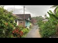 Heavy rain walks in the village  peaceful and quiet village life  rain sounds for better sleep