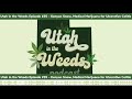 Kenyon Snow, Medical Marijuana for Ulcerative Colitis | Utah in the Weeds Episode #35
