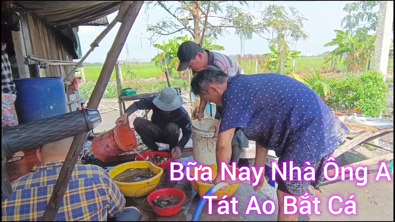 Bữa Nay Nhà Ông A Thức Khuyết Tật Tát Áo Bắt Cá
