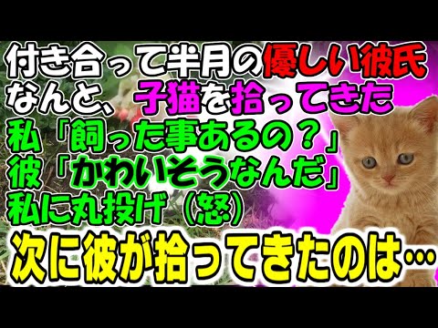 修羅場【かわいそう】付き合って半月の優しい彼氏、なんと、子猫を拾ってきた。私「飼った事あるの？」彼「かわいそう」私に丸投げ！（怒）次に彼が拾ってきたのは…牛子のスカッとする話ＧＪ