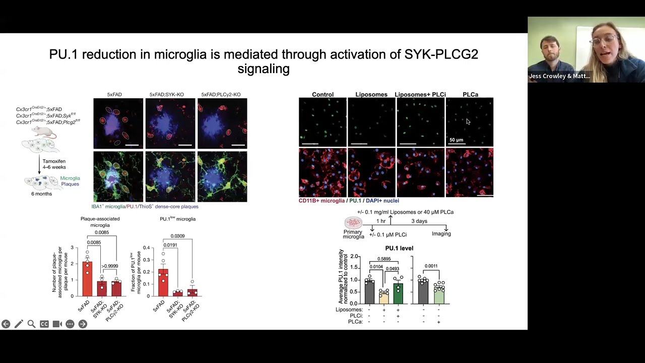 [Джесс Кроули и Мэтт Чаллман] Экспрессия лимфоидных генов поддерживает нейропротекторную функцию ...