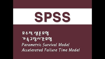 SPSS를 활용한 고급통계 - (5) 모수적 생존모형/가속고장시간모형 (Parametric Survival Model)/(Accelerated Failure Time Model)