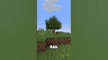 Staring at a detector rail