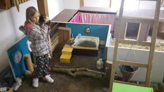 Oh Gott Die Meerschweinchen Im Haus