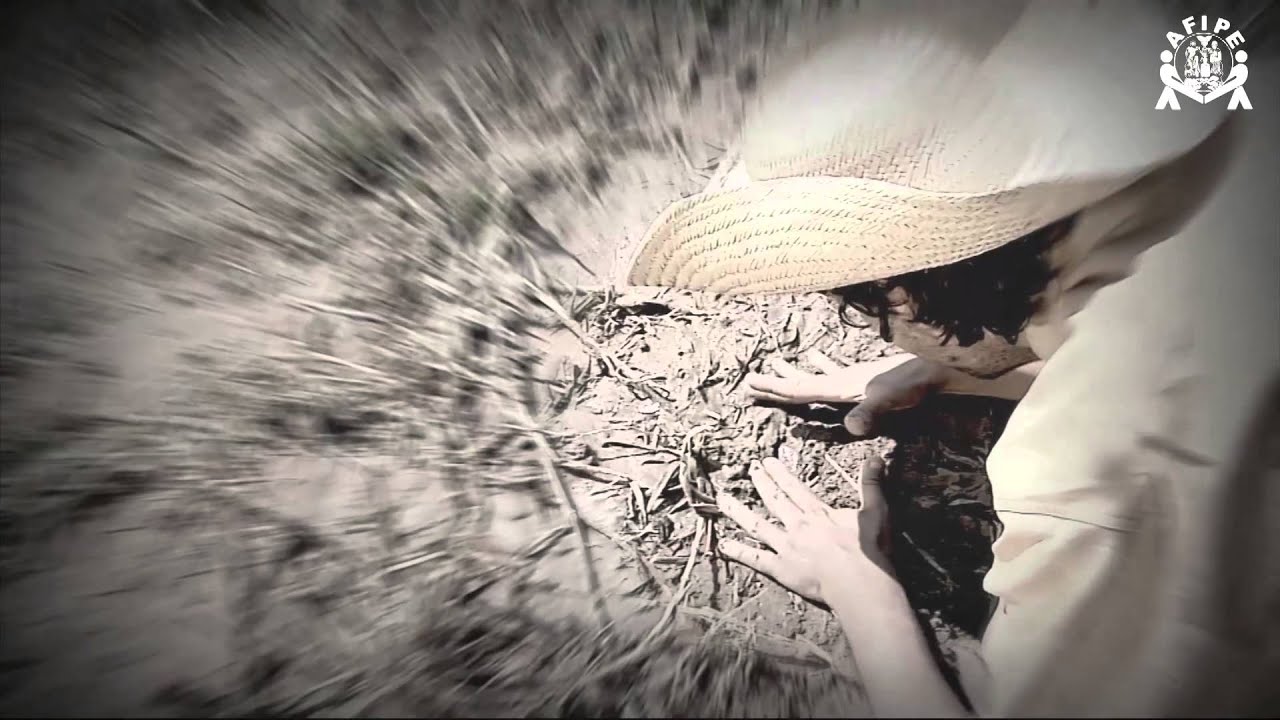 História do Medalhão