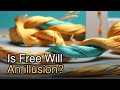 is free will an illusion