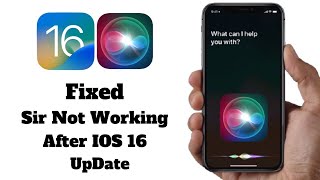 Siri Not Working on iPhone After iOS 16 Update- How To Fix Siri Not Working On iPhone iPad iOS 16