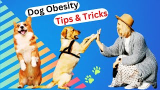 How to Managing and Preventing Dog Obesity  | Tips and Tricks  #dogobesity  #dogobediencetraining