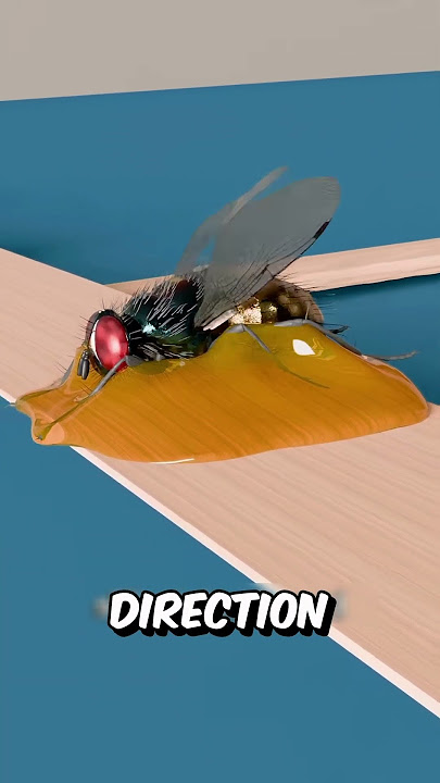 The bizarre flying machine made out of real flies 🪰