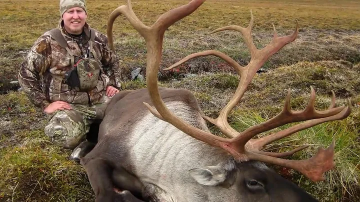 Moose and Caribou Hunt 2013