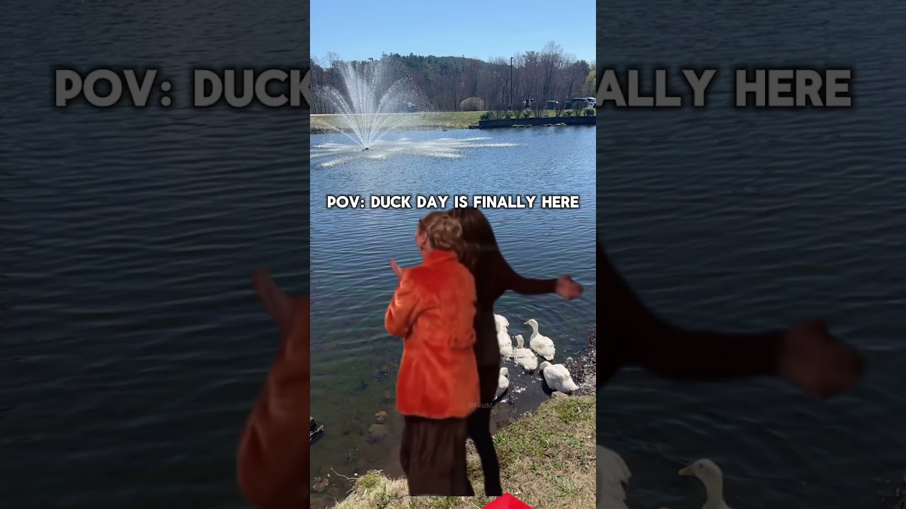 Happy Duck Day to those who celebrate 💙🦆 | Assumption University