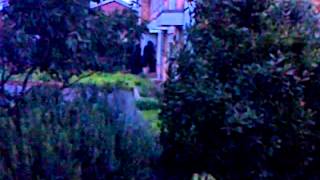 Police raid empty house