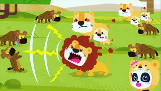 Animal Family | Explore Animal Habitat | Help Daddy Mommy Lion Protect Their Babies