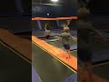 Unexpected Splash: The Day He Took a Dive