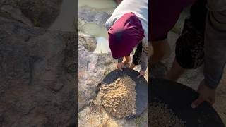 wow😱dry gold rust at the mining site contains hundreds to millions of gold dust and gold grains!!😱