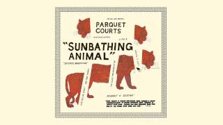 Parquet Courts &quot;Sunbathing Animal&quot;