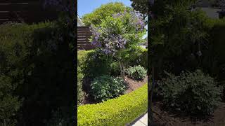 Garden views. #gardenviews #gardendesignideas