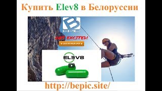 Купить Elev8 в Белоруссии Купить Elev8 в Белоруссии