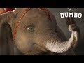 Dumbo  bandeannonce officielle