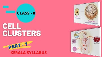 Class - 8 | B.S | Cell Clusters | Part - 1 | Kerala Syllabus