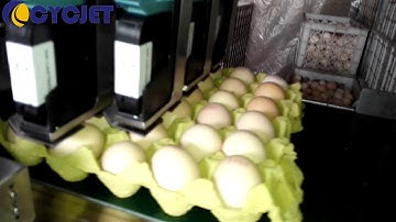 CYCJET Automatic Eggs Ink Jet Printer