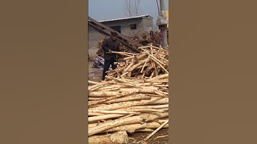 Round disc Wood chipping machine +debarker working video