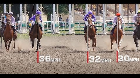 MYLAPS Horse Racing Timing System