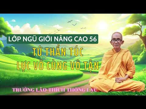Video Tứ Thần Túc Lực Vô Cùng Vô Tận - Lớp Ngũ Giới Nâng Cao 56 - Trưởng Lão Thích Thông Lạc. - youtube