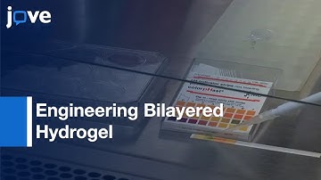 Engineering Bilayered Hydrogel To Control ASC Differentiation l Protocol Preview