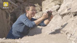 Sinkholes around the Dead Sea: Environmental Catastrophe in the Making