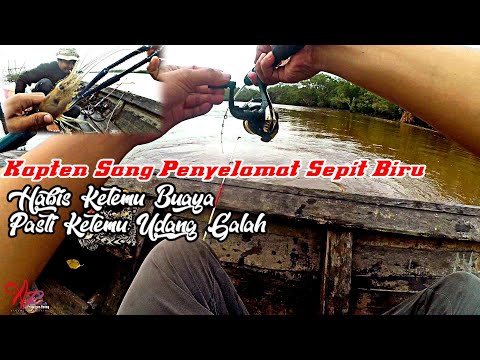 Misi Penyelamatan UDANG SEPIT BIRU Malah Ketemu Dia Lagi Berjemur Menyendiri - KALIMANTAN BARAT #013