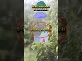 CARA MENGHITUNG AIR HUJAN UNTUK TALANG AIR!!!!