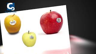 Crystal Code Packaging Technology Shanghai Co ,Ltd Product Introduction