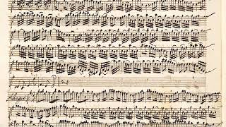 VIVALDI | Violin Concerto RV 275 in E minor | Vienna manuscript