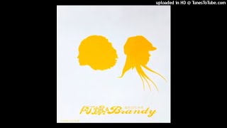 Video thumbnail of "2003阿爆&Brandy - 不愛你(高音質)"