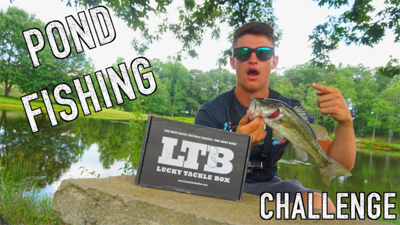 bass fishing at night POND FISHING - LTB Challenge