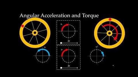Biomechanics Overview